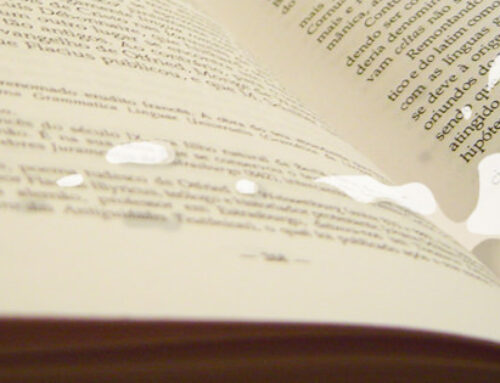 EROTIC FICTION: Bachelor Party